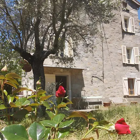 Maison De Jeannette En Pierre *