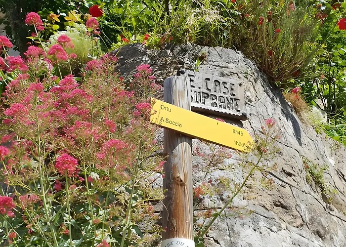 Maison De Jeannette En Pierre Casa vacanze