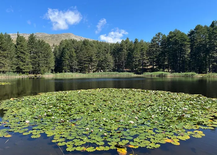 Maison De Jeannette En Pierre *