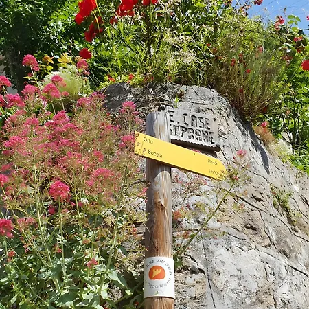 Maison De Jeannette En Pierre Semesterbostad