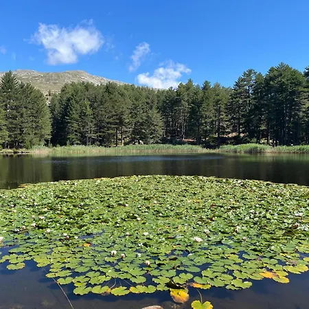 Maison De Jeannette En Pierre *